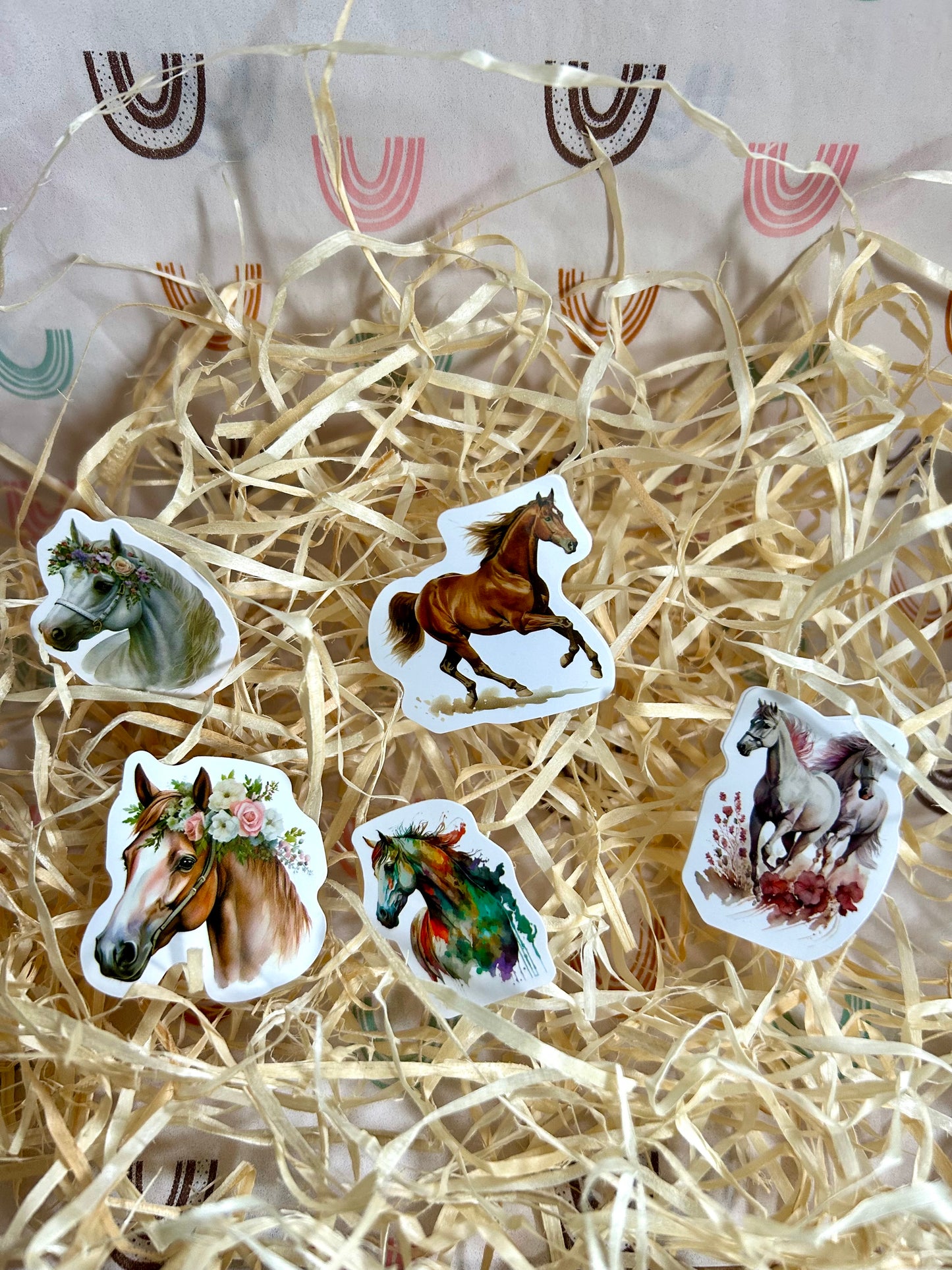 Pony Mad Gift Set
